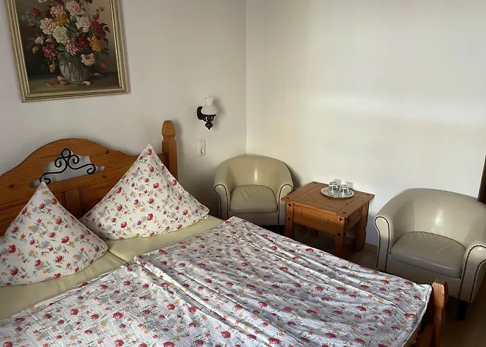 ホテル Klement ツェーデニック